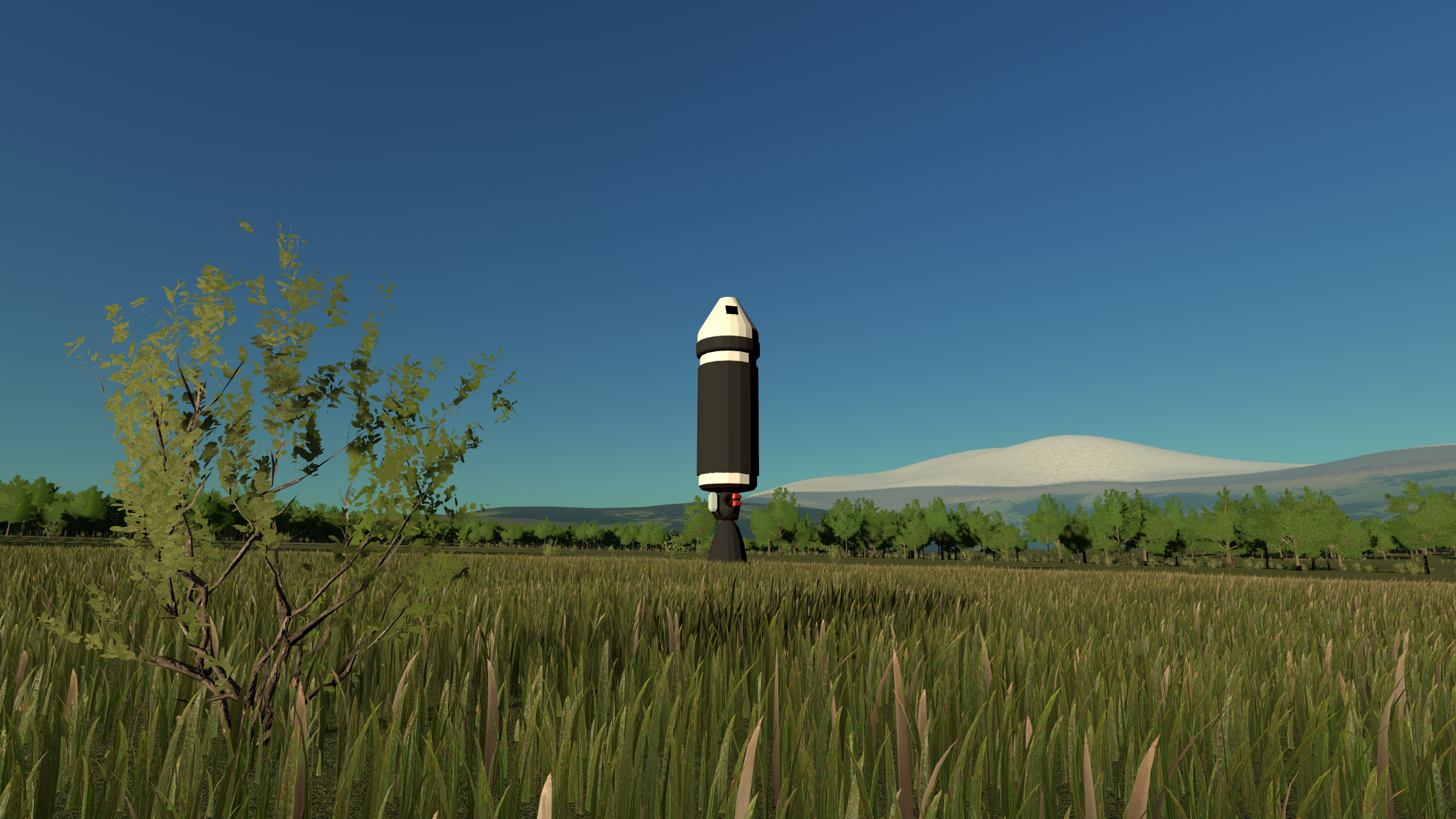 Dear Home: a rocket standing in a grassy field surrounded by trees.